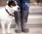 Vineyard Dogs of the Okanagan 20170731 Cover